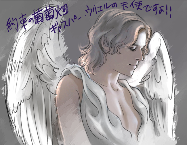 約束の葡萄畑あるワイン醸造家の物語の天使ザス 約束の葡萄畑あるワイン醸造家の物語の天使ザス