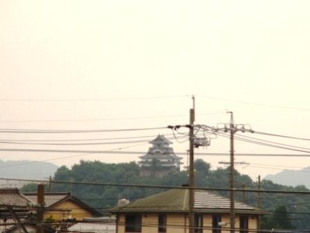 画像を等倍で表示します 画像