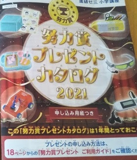 f:id:shimausj:20210316104107j:plain