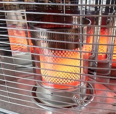 f:id:sikinomori117:20211218192426j:plain