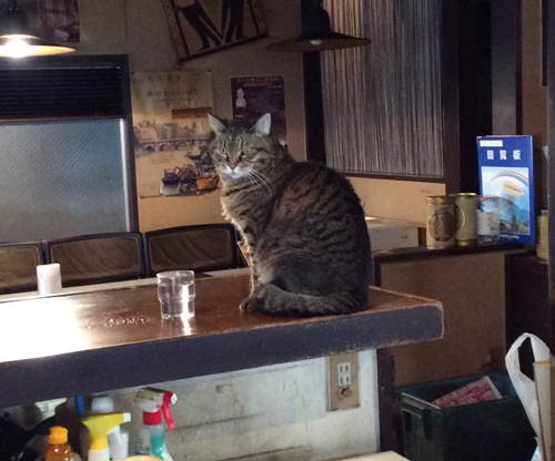 f:id:small_editor:20161107233345j:image f:id:small_editor:20161107233345j:image