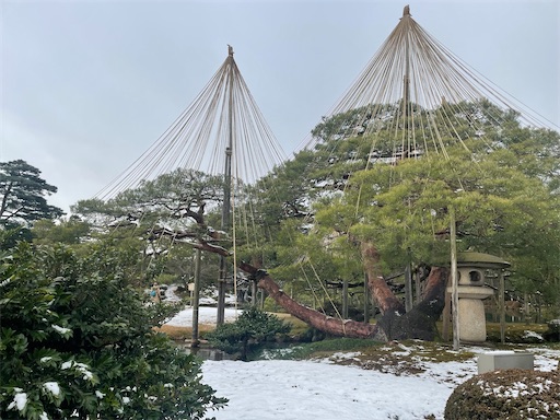 f:id:snusmumriken2016:20230122125430j:image f:id:snusmumriken2016:20230122125430j:image