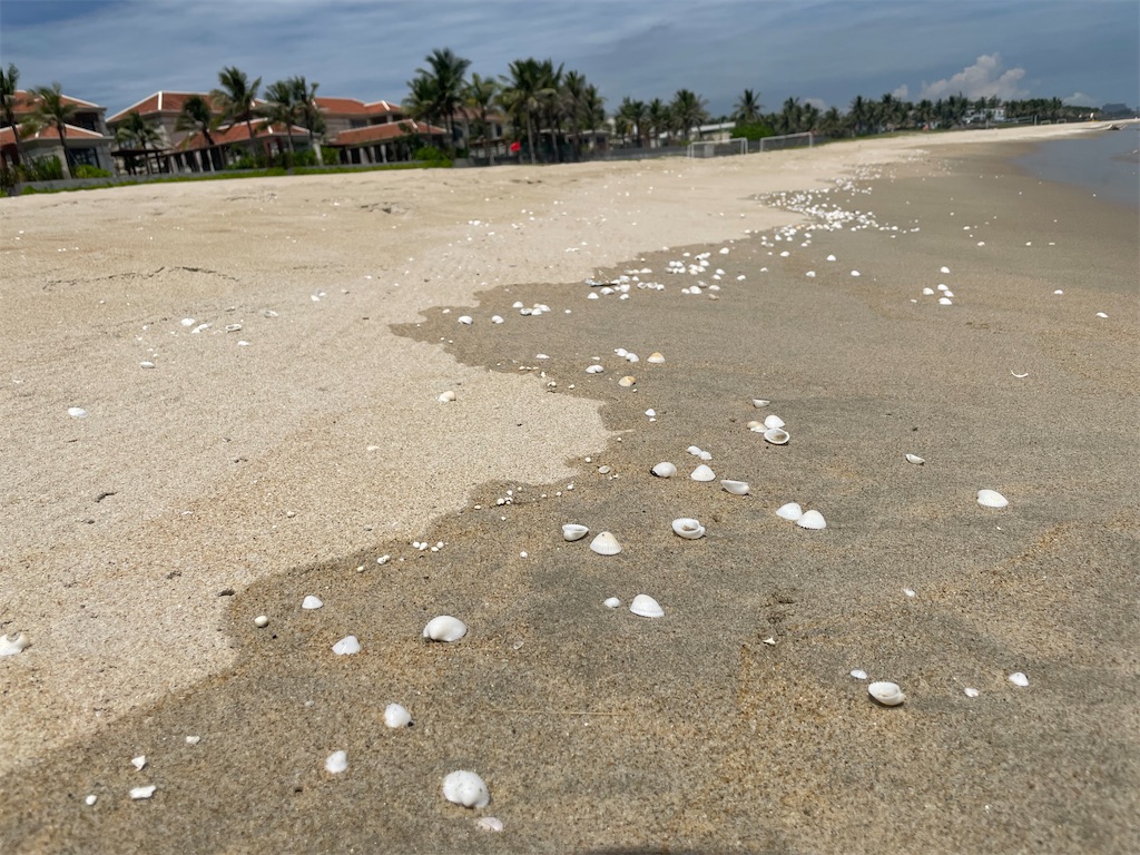 f:id:snusmumriken2016:20250917124648j:image f:id:snusmumriken2016:20250917124648j:image