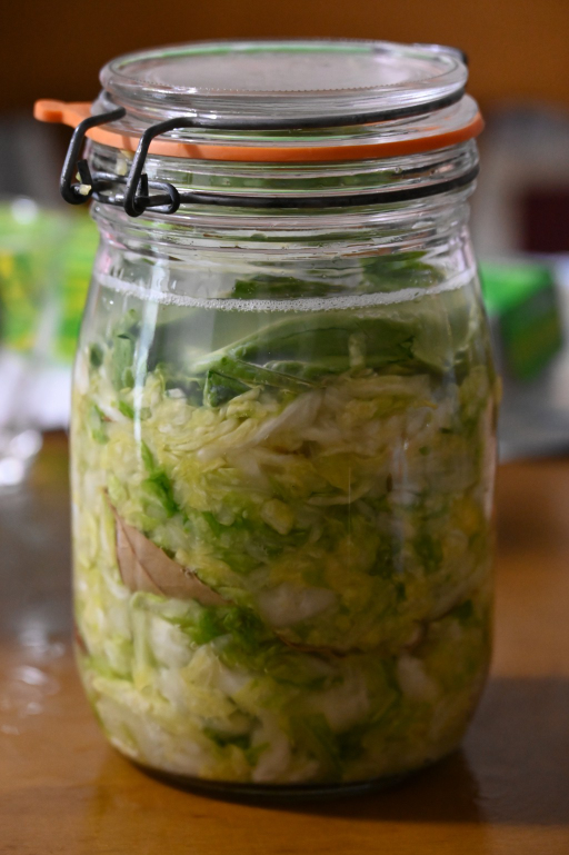 f:id:spanglemaker:20210515153001j:image