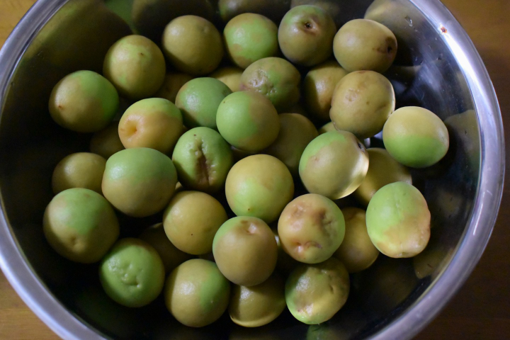 f:id:spanglemaker:20210530083809j:image