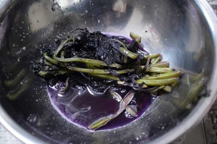 f:id:spanglemaker:20210530094811j:image