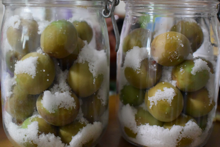 f:id:spanglemaker:20210530094817j:image