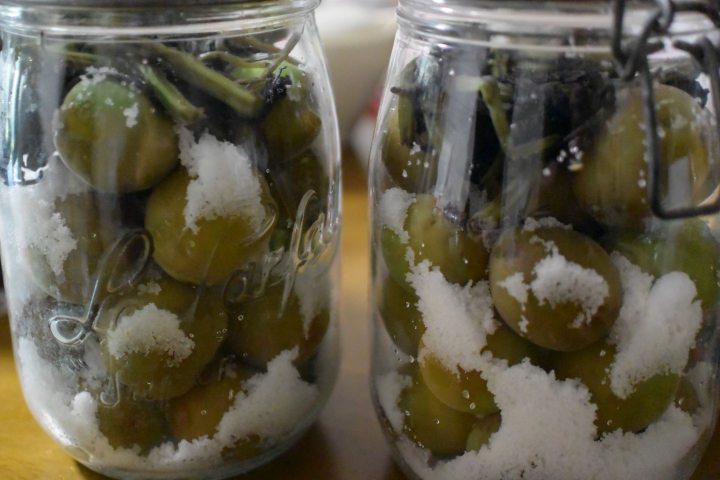 f:id:spanglemaker:20210530095055j:image