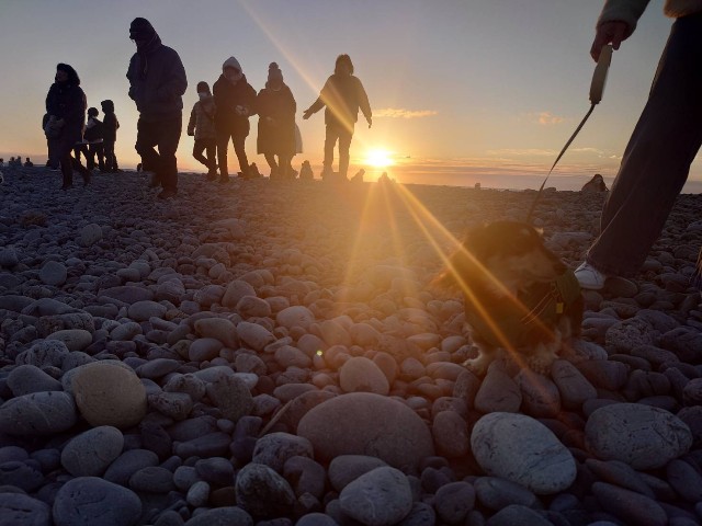 f:id:srx4:20260101195645j:image f:id:srx4:20260101195645j:image