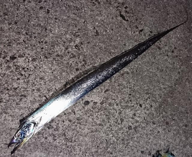 f:id:stormfish:20210920121824j:plain