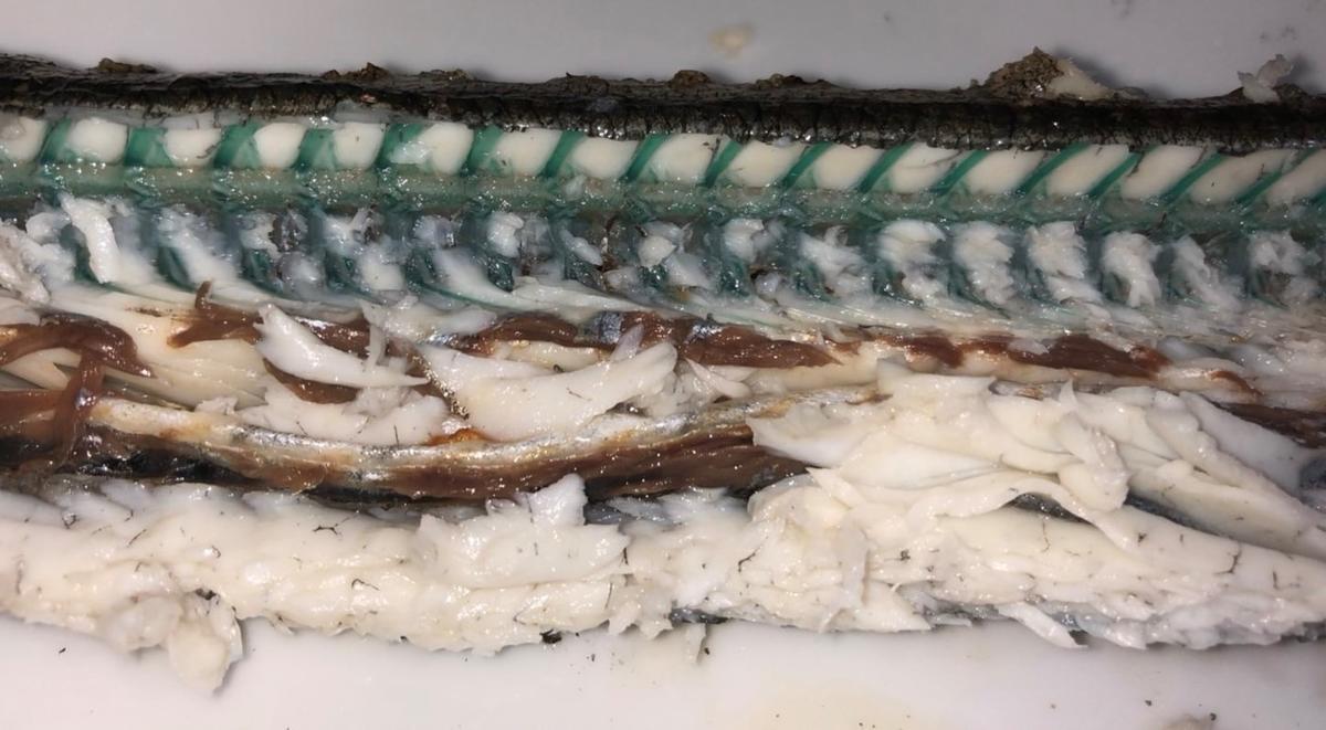 f:id:stormfish:20210920224319j:plain