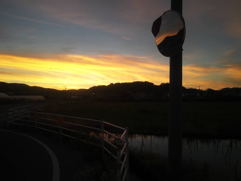 f:id:sunetsumuri:20210722222211j:plain