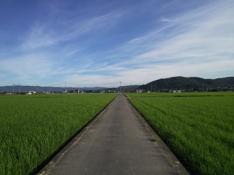 f:id:sunetsumuri:20210722224549j:plain