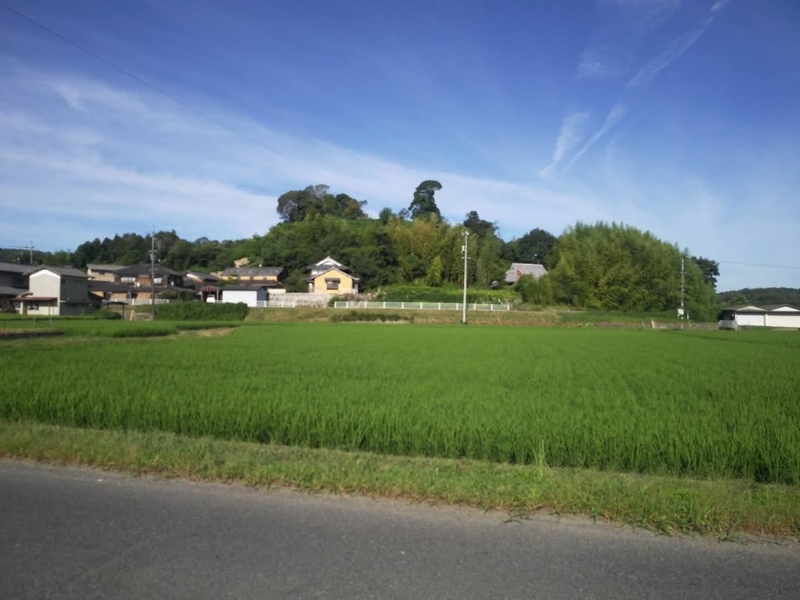 f:id:sunetsumuri:20210722224822j:plain