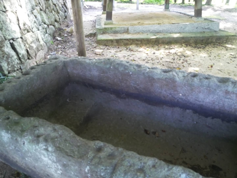 f:id:sunetsumuri:20210722225406j:plain