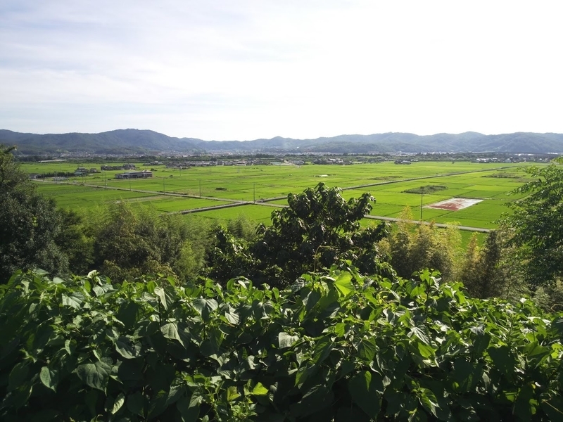 f:id:sunetsumuri:20210722230219j:plain