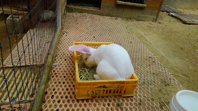 f:id:szkthsmk:20190811222733j:plain f:id:szkthsmk:20190811222733j:plain