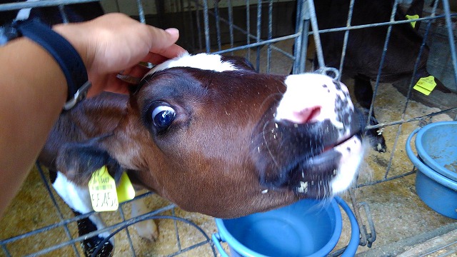 f:id:szkthsmk:20190811223519j:plain f:id:szkthsmk:20190811223519j:plain