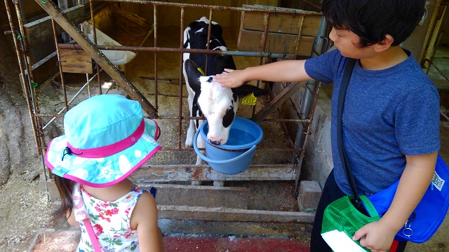 f:id:szkthsmk:20190811223558j:plain f:id:szkthsmk:20190811223558j:plain