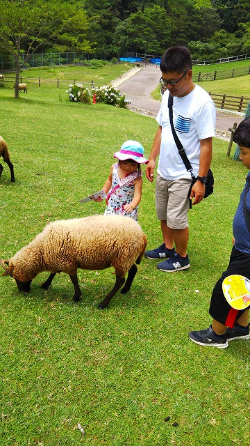 f:id:szkthsmk:20190811224647j:plain f:id:szkthsmk:20190811224647j:plain