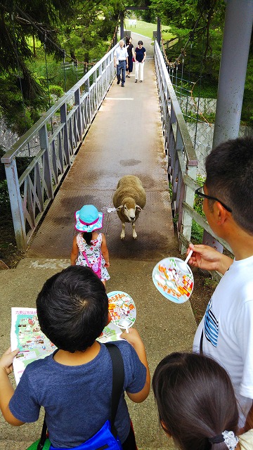 f:id:szkthsmk:20190811225305j:plain f:id:szkthsmk:20190811225305j:plain