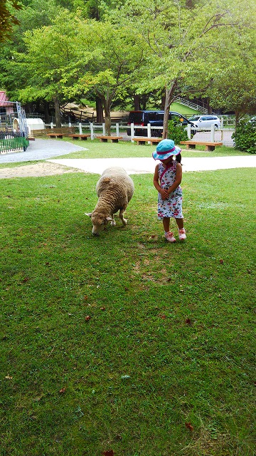 f:id:szkthsmk:20190811225447j:plain f:id:szkthsmk:20190811225447j:plain