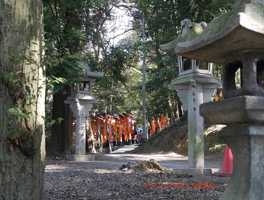 f:id:tabizukigirl:20190114033623j:plain f:id:tabizukigirl:20190114033623j:plain