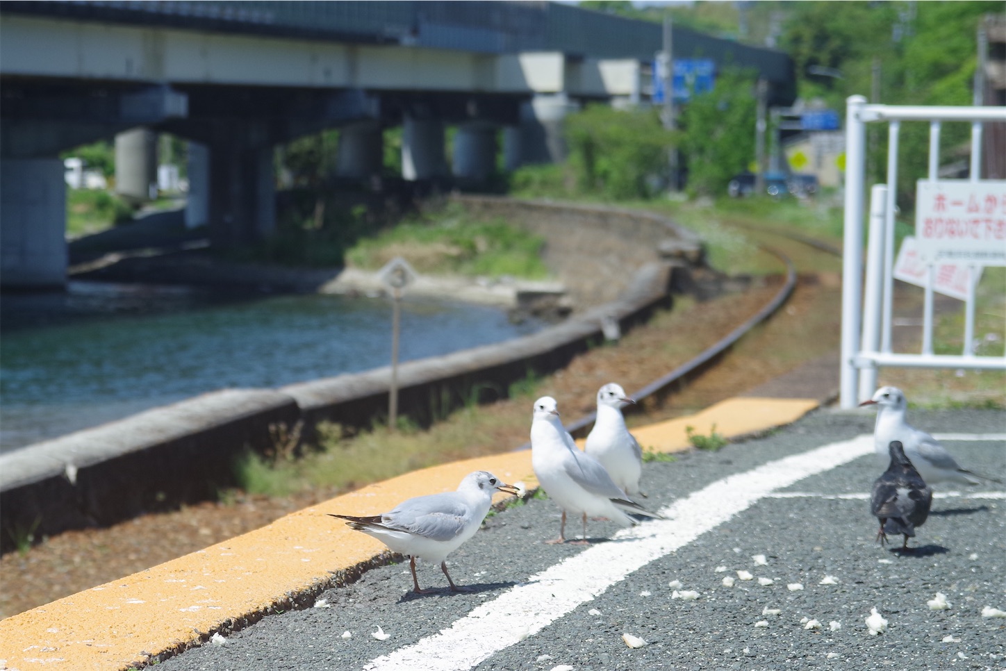 f:id:taka-xl883n:20250430185218j:image f:id:taka-xl883n:20250430185218j:image