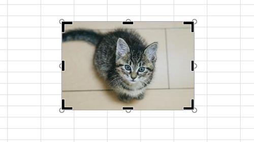 f:id:teco_knd:20201116150202p:plain