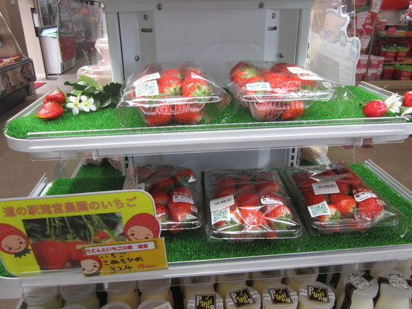 f:id:teinenoyaji:20210614071938j:plain