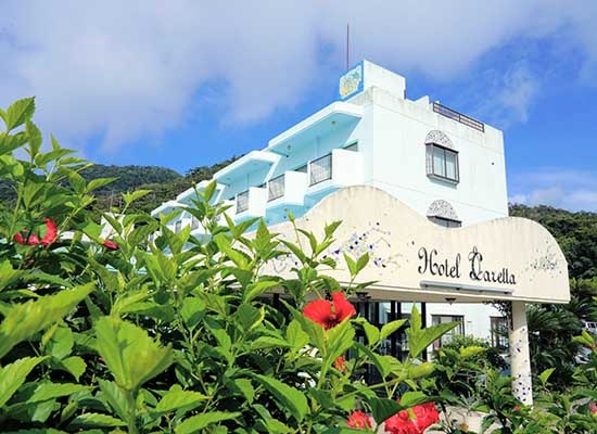 f:id:toraberuuda:20201112184719j:plain f:id:toraberuuda:20201112184719j:plain