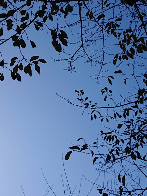 f:id:tsurezure4:20241202235419j:image f:id:tsurezure4:20241202235419j:image