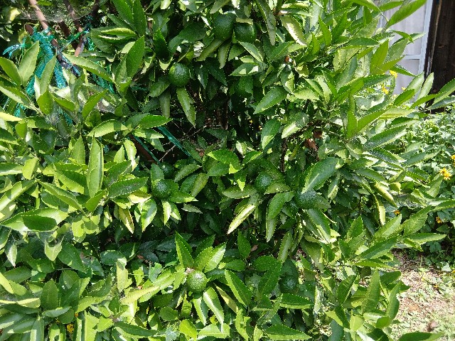 f:id:ttskhtss:20250813152512j:image f:id:ttskhtss:20250813152512j:image