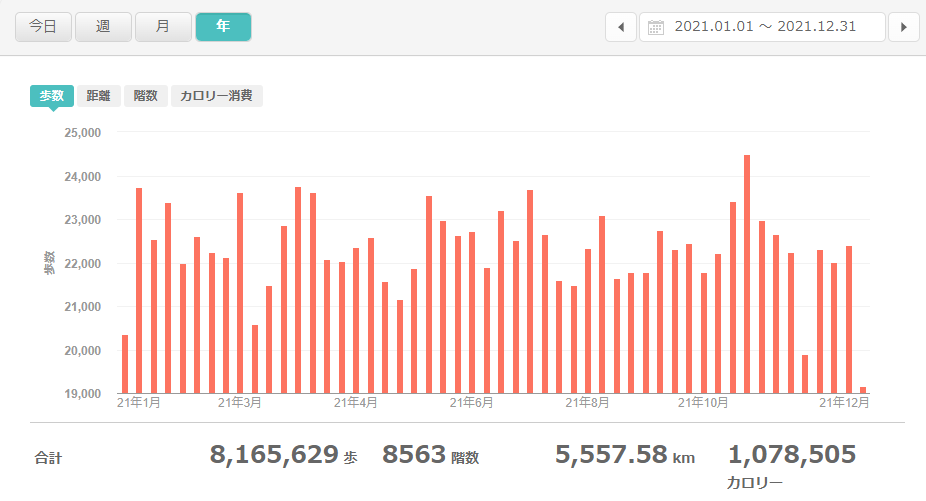 fitbitログより 運動データ