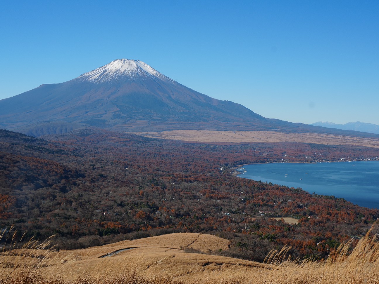 f:id:unknown555:20251213213125j:image f:id:unknown555:20251213213125j:image