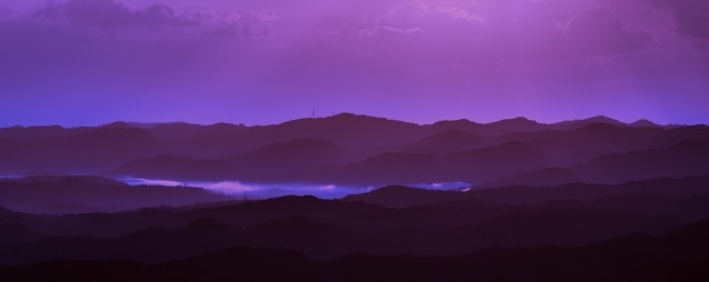 f:id:usapirika:20200724100800j:plain f:id:usapirika:20200724100800j:plain