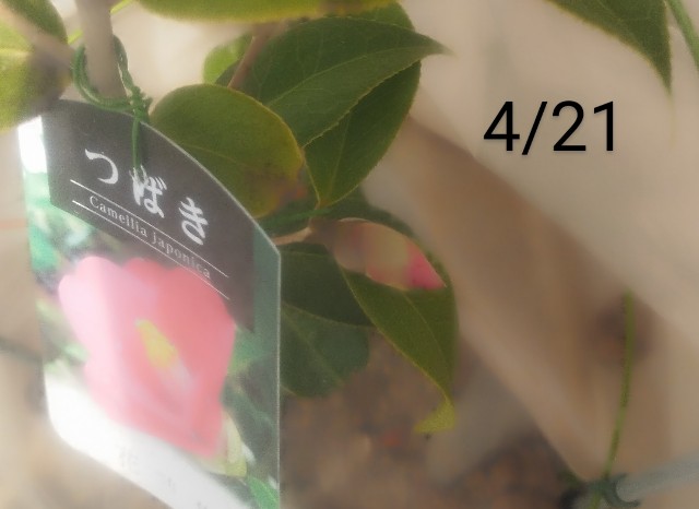 f:id:ushidayo3:20230506112918j:image f:id:ushidayo3:20230506112918j:image