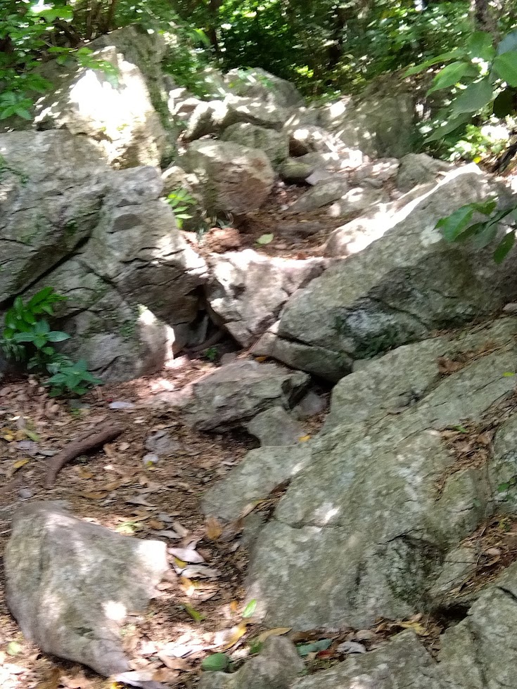 ダイダラボッチの足跡はどれ?