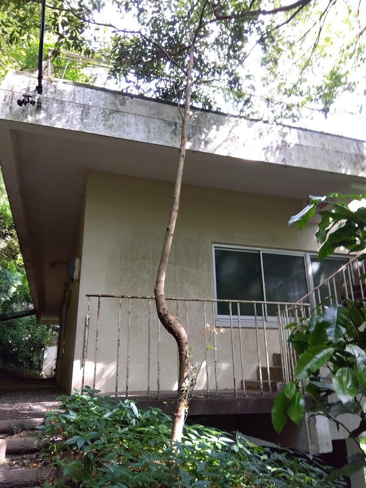 石巻自然科学資料館