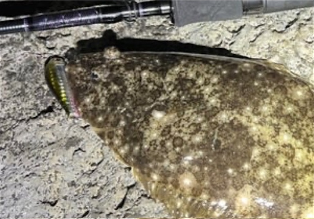 f:id:watershapedbox:20251205102904j:image f:id:watershapedbox:20251205102904j:image