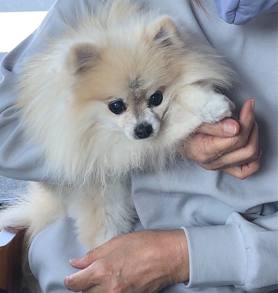 f:id:xfox:20211104123833j:image f:id:xfox:20211104123833j:image