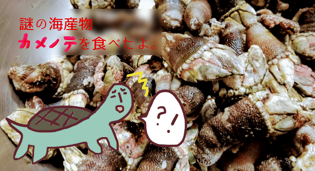 f:id:yagine:20181219092304p:plain f:id:yagine:20181219092304p:plain