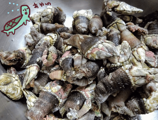 f:id:yagine:20181219094435p:plain f:id:yagine:20181219094435p:plain