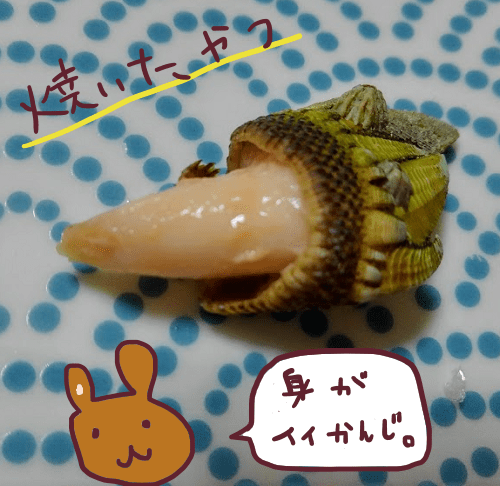 f:id:yagine:20181219225618p:plain f:id:yagine:20181219225618p:plain