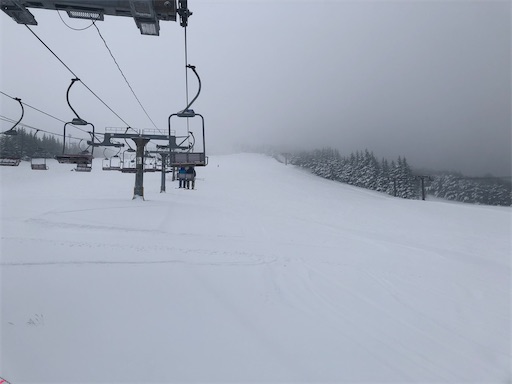 f:id:yukinekokei:20210102183819j:image f:id:yukinekokei:20210102183819j:image