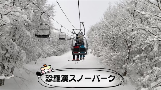 f:id:yukinekokei:20210104172433j:image f:id:yukinekokei:20210104172433j:image