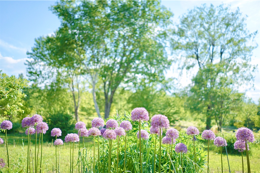 瞑想 潜在意識 波動 上げる 効果