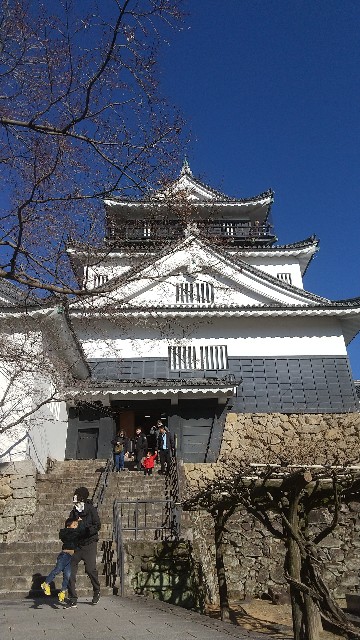 f:id:yuttinonno:20251229164802j:image f:id:yuttinonno:20251229164802j:image