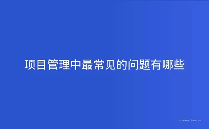 项目管理中最常见的问题有哪些