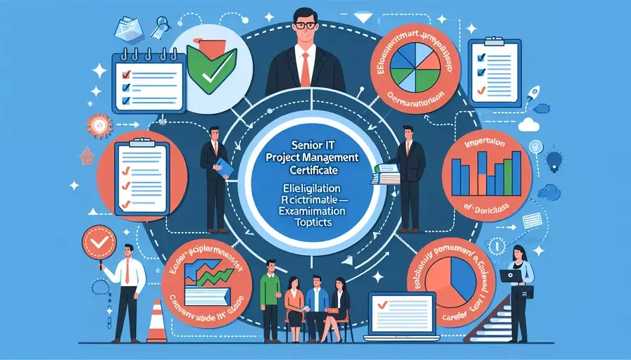 it项目管理师高级是什么证书